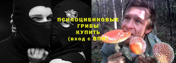 ГАЛЛЮЦИНОГЕННЫЕ ГРИБЫ Волосово
