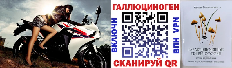 Галлюциногенные грибы Cubensis  Галич 