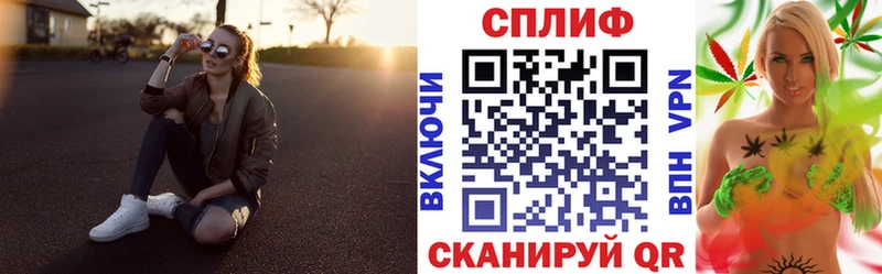 Бошки Шишки VHQ  Галич 
